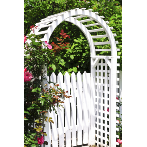 © Elenathewise - stock.adobe.com