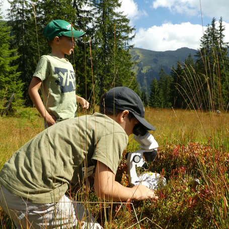 Mit Unterstützung von ADLER kann das umwelt- und klimapädagogische Angebot weiter ausgebaut werden. | © Naturpark Karwendel / Anton Heufelder