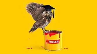 Folge dem Vogel: ADLER macht schlau!