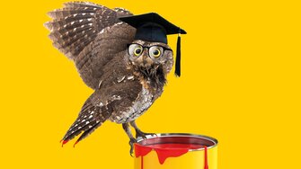 Das neue ADLER Seminarprogramm flattert den Holzverarbeitern dieser Tage in die Briefkästen. 