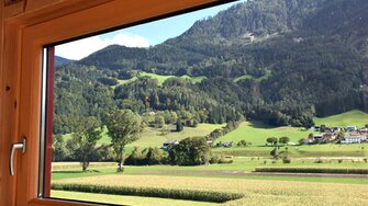 Matt ist das neue glänzend: Auch Fenster präsentieren sich dank ADLER Aquawood Ligno+ Top M im eleganten Understatement-Look.