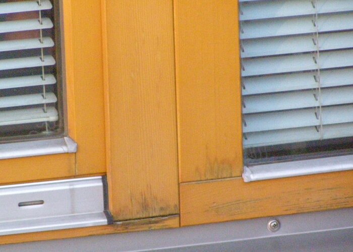 Holzfenster pflegen und Lackschäden kontrollieren