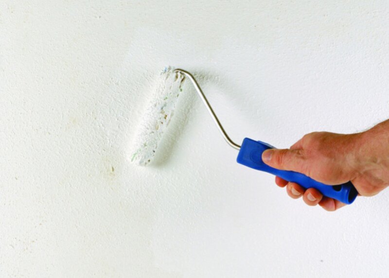 Schimmel von der Wand entfernen und erfolgreich vorbeugen